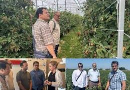 Strengthening Horticulture Sector  J&K explores global best practices to modernise horticulture sector, enhance farmer income