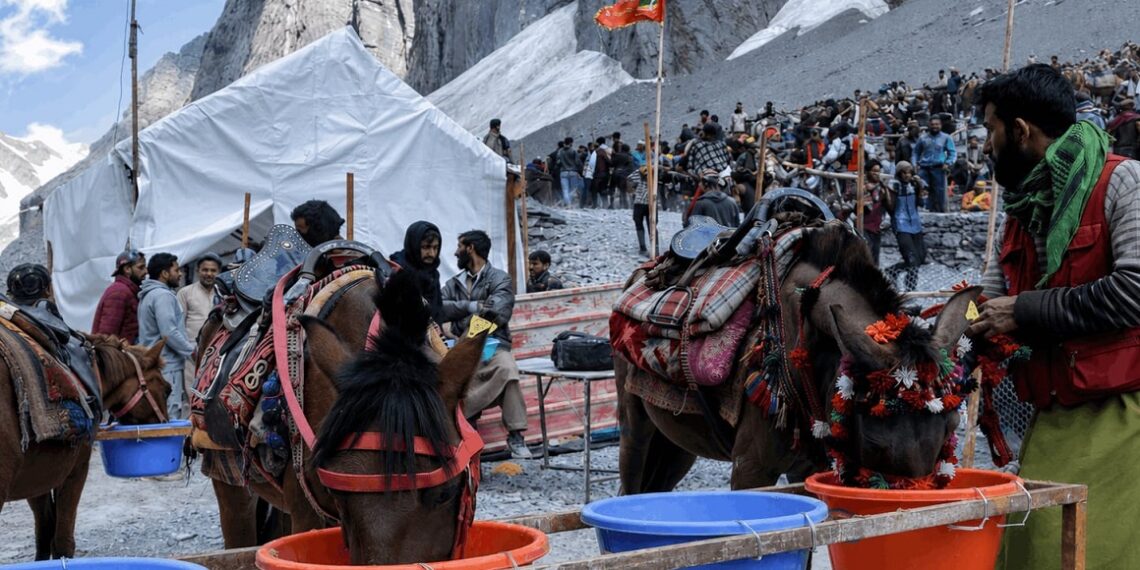SANJY : ‘Pashu Seva’ feeds 10,000 animals daily near Holy Cave Shrine