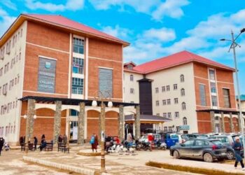 Children’s hospital gets foot-over bridge, attendant accommodation
