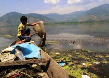 Kashmir’s water bodies losing carrying capacity: Experts
