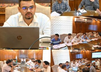 DC Kulgam reviews progress of developmental projects