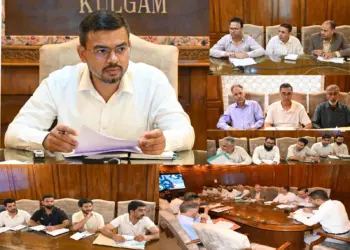 DC Kulgam reviews progress of financial inclusion-cum-social security schemes