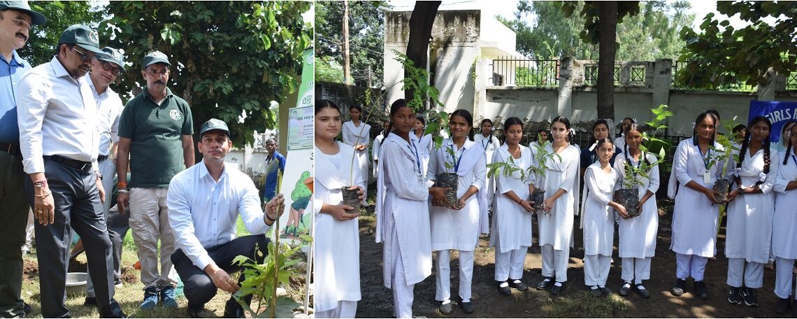 Every Tree Gets a Name:  Jammu admin launches Paalna plantation drive across 815 institutions