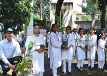Every Tree Gets a Name:  Jammu admin launches Paalna plantation drive across 815 institutions