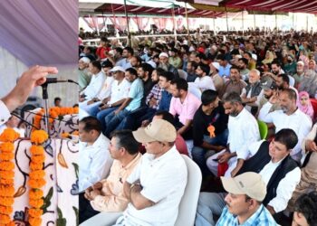Kashmir’s economic identity beyond tourism: CM Omar