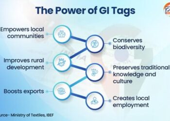 GI Tags: Scaling Traditional Wealth Into Global Brands
