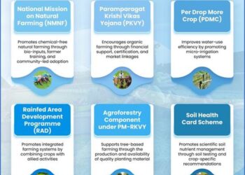 Rebuilding Farming Systems: Regenerative Agriculture For A Resilient India