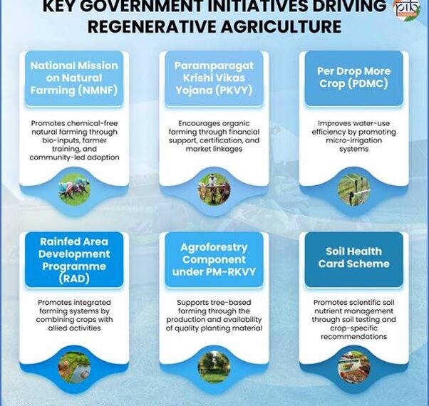 Rebuilding Farming Systems: Regenerative Agriculture For A Resilient India