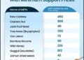 Pradhan Mantri Janjatiya Vikas Mission: Unlocking India’s Tribal Forest Economy