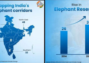 World Elephant Day