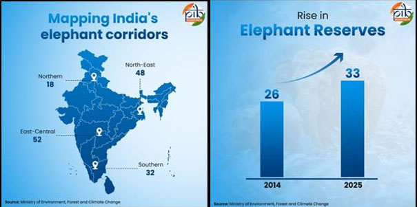 World Elephant Day