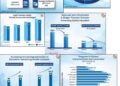 === UDISE+ 2025–26 Report (NEP Structure) ===  Beyond The Numbers: Decoding India’s School Education Progress