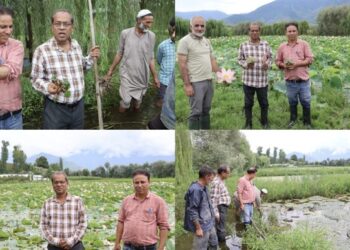 ICAR–NRC Makhana scientist reviews aquatic crop demonstrations at KVK Bandipora
