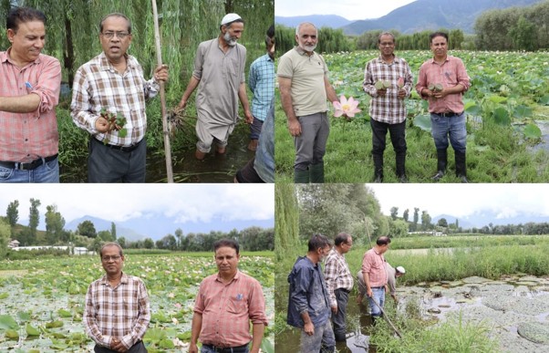 ICAR–NRC Makhana scientist reviews aquatic crop demonstrations at KVK Bandipora