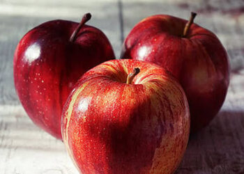 J&K’s post-harvest apple loss estimated at 9.51%: Centre