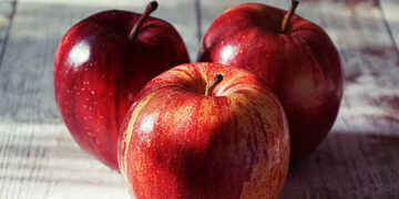 J&K’s post-harvest apple loss estimated at 9.51%: Centre