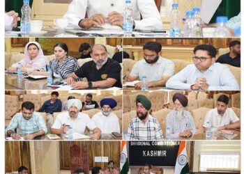 Div Com Kashmir reviews development proposals for heritage sites in Budgam, Pulwama