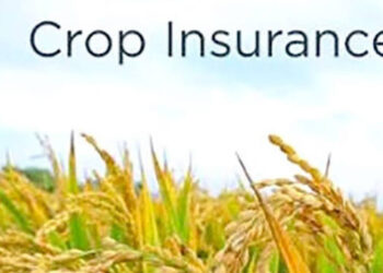 J&K among 25 States, UTs implementing crop insurance schemes in Kharif 2026: GoI