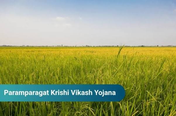 CAO Srinagar flags off 60 progressive farmers for exposure visit under PKVY