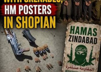 Three held with grenades, HM posters in Shopian