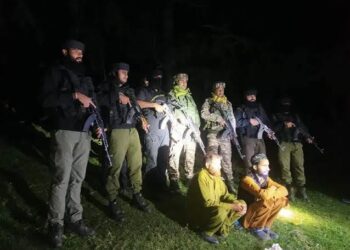 Two terror associates held in Pulwama