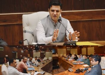 DC Budgam takes department- wise review