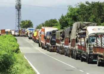 Highway closure traps hundreds of fruit-laden trucks