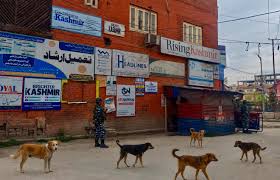 Journalists in Press Colony raise concern over stray dog menace