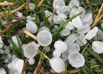 Rain, hailstorm hit Kashmir parts, shepherd killed