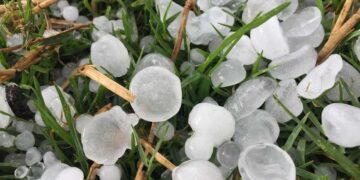 Rain, hailstorm hit Kashmir parts, shepherd killed