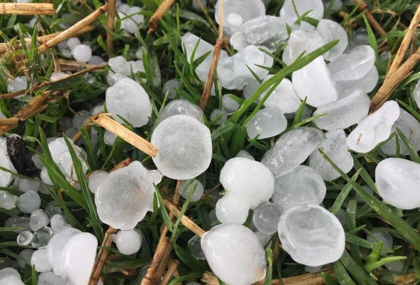 Rain, hailstorm hit Kashmir parts, shepherd killed