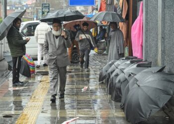 Rain lashes Kashmir parts, more showers forecast till Aug 17