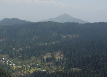 From The Parliament : 1,778 hectares restored in J&K under GIM