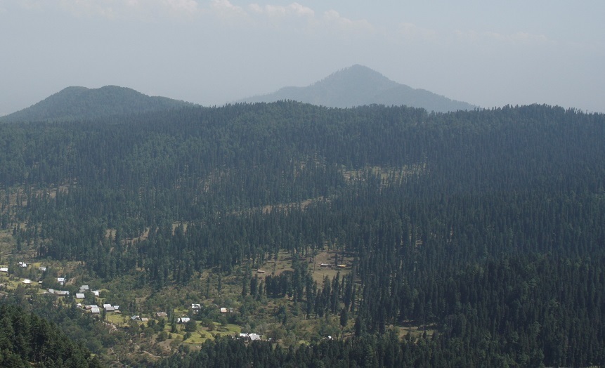 From The Parliament : 1,778 hectares restored in J&K under GIM