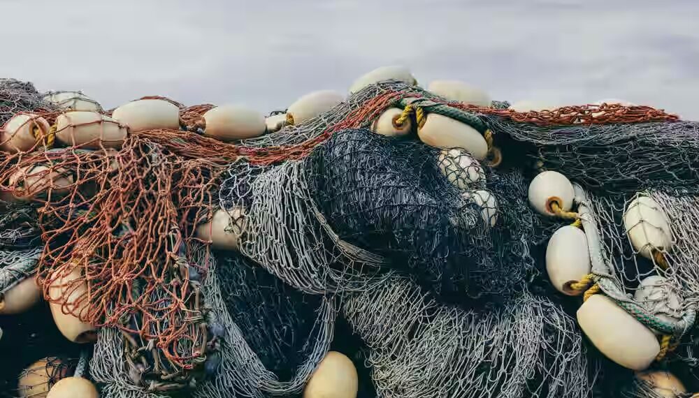 ‘Fisheries Dept seizes 4,000 gill nets’
