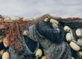 ‘Fisheries Dept seizes 4,000 gill nets’