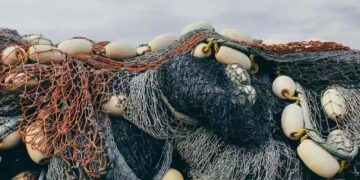 ‘Fisheries Dept seizes 4,000 gill nets’