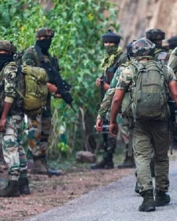 SFs launch searches in Udhampur, Reasi after suspicious movement