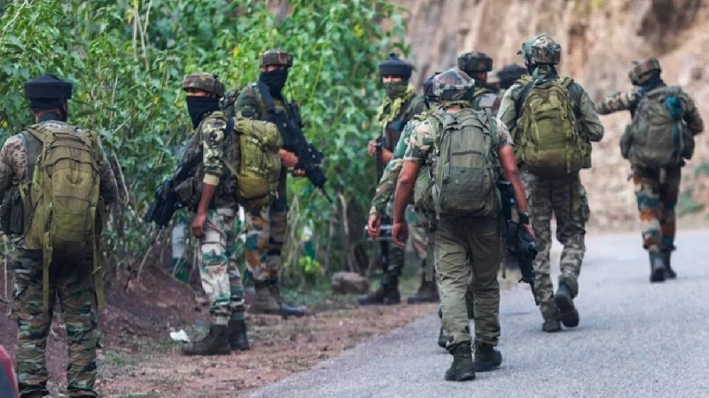 SFs launch searches in Udhampur, Reasi after suspicious movement