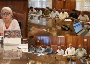 DC Bandipora reviews implementation of National Apprenticeship Promotion Scheme PRAGATI