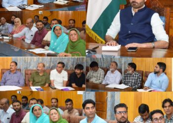 DC Pulwama reviews implementation of PM-NAPS