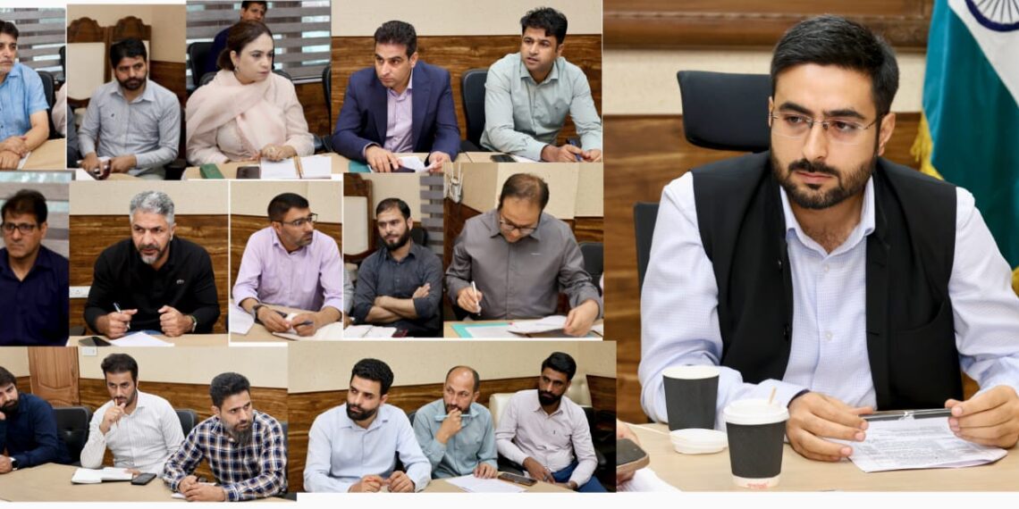DC Srinagar reviews progress of ongoing, proposed Disaster mitigation projects, measures
