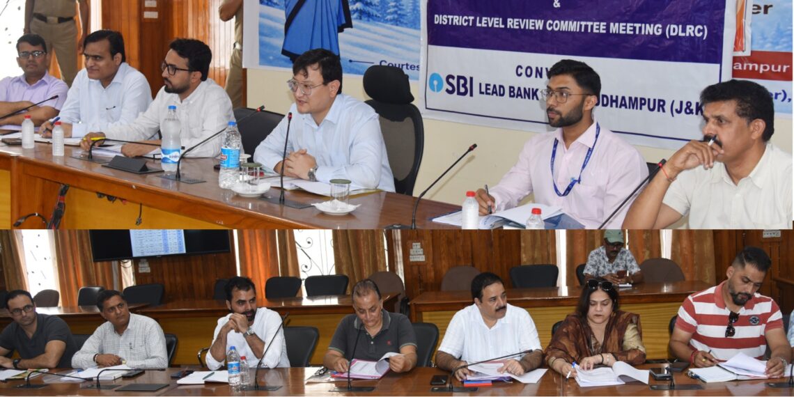 DC chairs DLRC, DCC meeting in Udhampur
