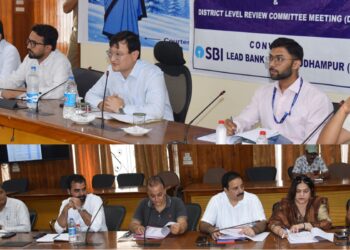DC chairs DLRC, DCC meeting in Udhampur