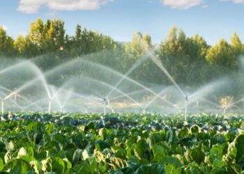 Jal Sanchay Jan Bhagidari: From Local Action To Water Security