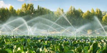 Jal Sanchay Jan Bhagidari: From Local Action To Water Security