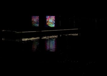 Dal Lake turns into open-air cinema with floating screen