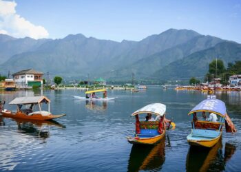 US tourists hail Kashmir’s safety, hospitality