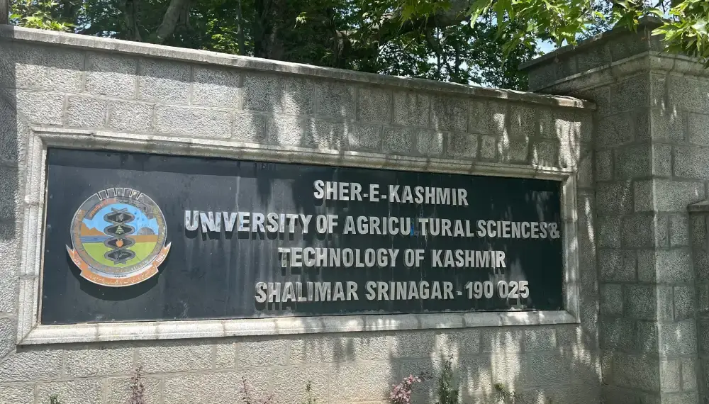 SKUAST-K study links ‘Hen and Chicken’ disorder in Sahebi grape to poor pollination