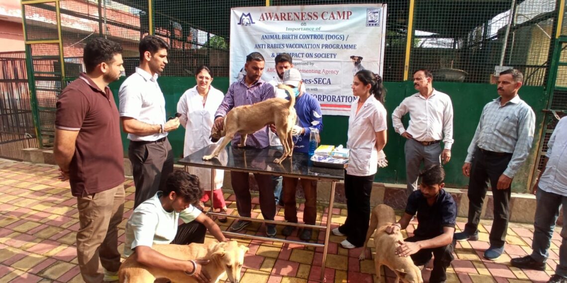 JMC organizes anti-rabies vaccination drive at Roop Nagar